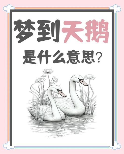 周公解梦：梦到大白鹅究竟预示着什么吉凶？