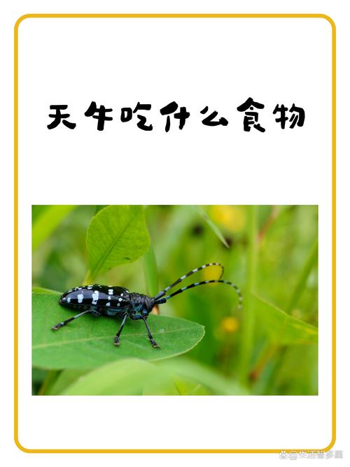 哪些生肖的动物以食为天？