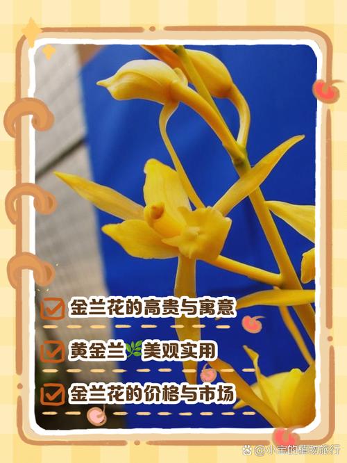 金兰统一格式名是什么有哪些好听的金兰格式可以分享？