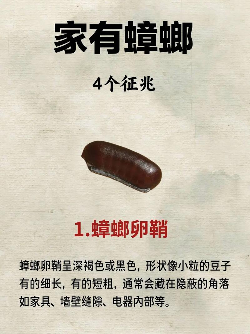 女人梦见屋里好多蟑螂是什么征兆？预示着什么不好的事情吗？