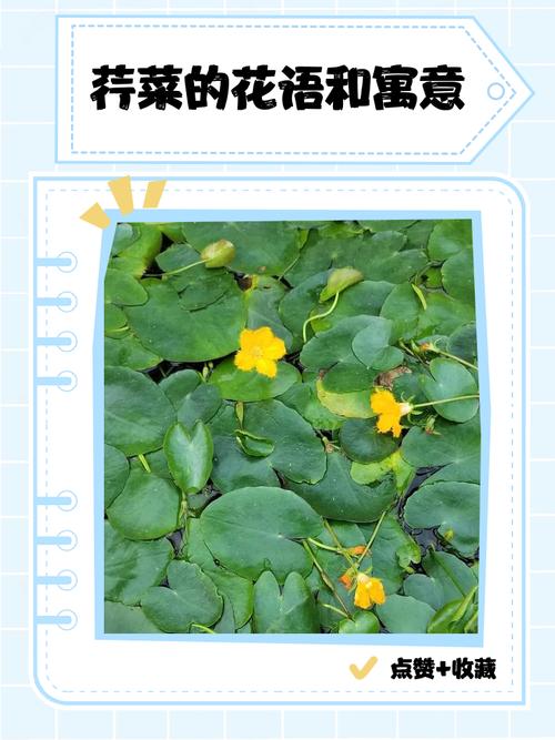 已婚女人梦见别人家的菜园子是什么预兆或含义？