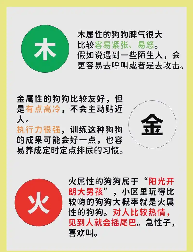 明年狗年五行属什么？想知道明狗五行属性，快来问我吧！