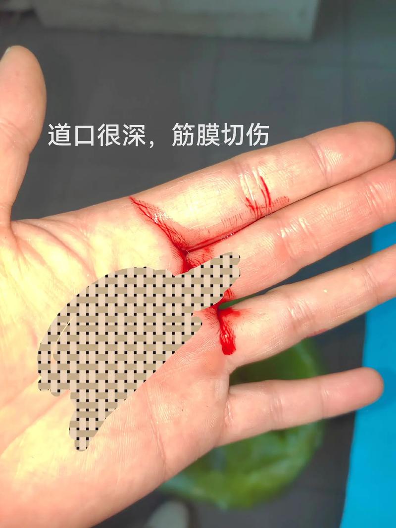 梦见已故亲人还活着给自己拿钱是什么预兆或含义？