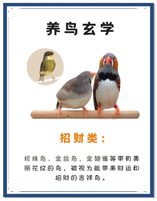 家里养鸟在窗外做窝，这样的风水布局对财运有影响吗？