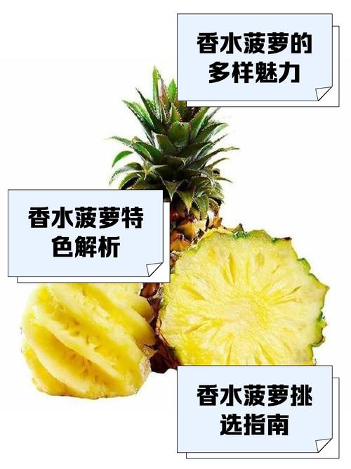 菠萝的寓意及象征究竟有哪些深刻含义？
