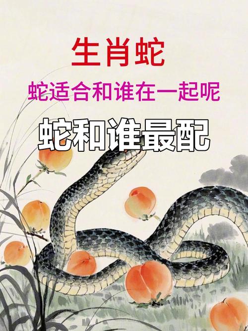 蛇和狗的婚姻是否相配，他们的性格和命运是否和谐统一呢？