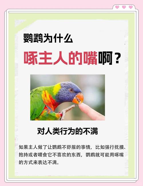 梦见鸟儿开口咬人，最终被掐死，这预示着什么凶兆？