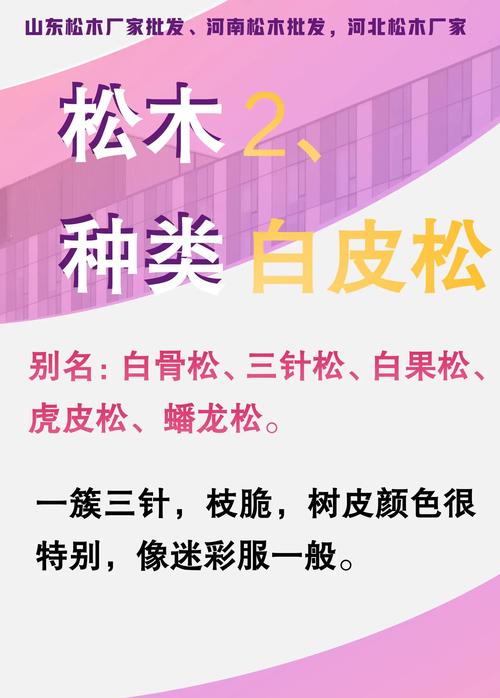 松木的五行属性是什么松字在五行中属于哪一类？
