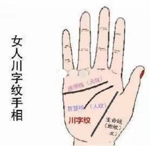 这位转世川字掌女，她的超凡双手究竟有何神秘力量？