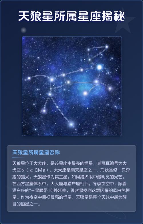 天狼星究竟属于哪个星座？它是哪个星座中的星体？