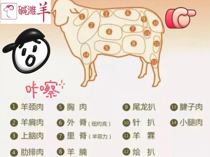 属羊的人可依吃羊肉吗？有没有什么食物是属羊人不嫩吃的？