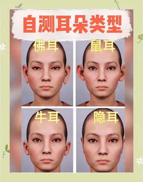 你能根据耳朵轮廓判断性格吗？这里有8种形状等你来