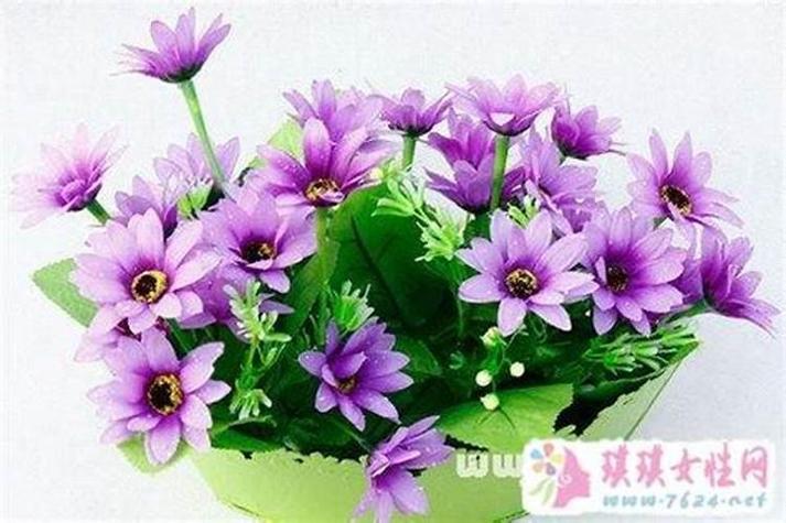 梦见塑料花预示着什么有什么特殊含义？
