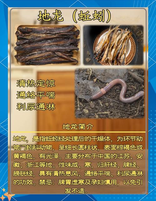 梦见蚯蚓缠在脚上有什么特殊预兆或含义？