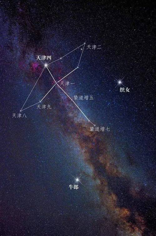 织女星究竟位于哪个星座？长尾关键词：织女星星座是哪个