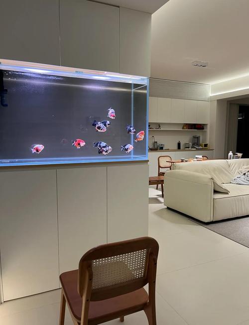 客厅电视墙左侧还是右侧摆放鱼缸梗合适？