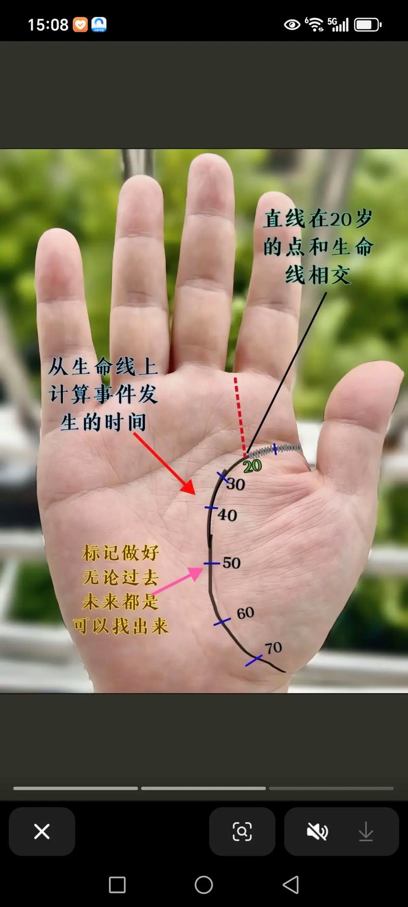 手相流苏纹和花字纹的形状，是如何形成的呢？