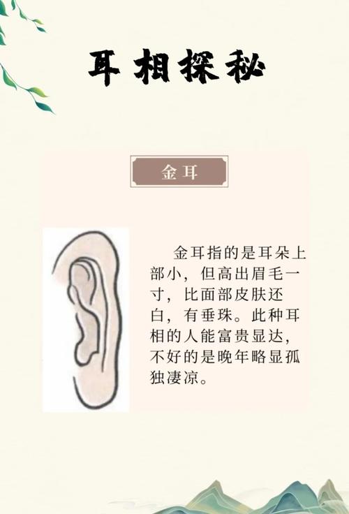 你能根据耳朵轮廓判断性格吗？这里有8种形状等你来