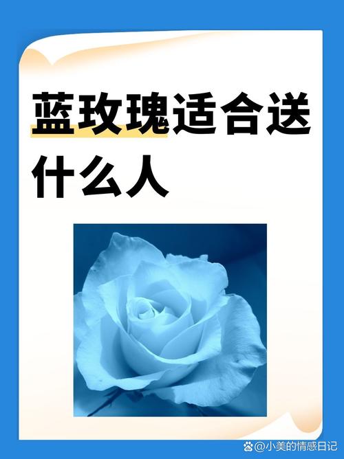 蓝玫瑰的寓意是什么？蓝色妖姬玫瑰适合送给哪种类型的人？