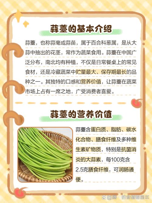 梦见妈妈送蒜薹有什么特殊含义或预兆？