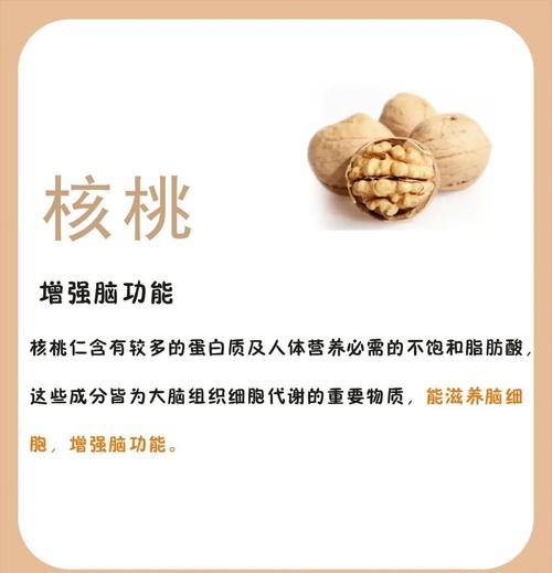 核桃取名寓意是什么有哪些美好的象征和含义？