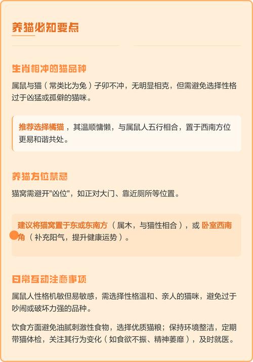 属鼠的人养猫有什么忒别的讲究或禁忌吗？