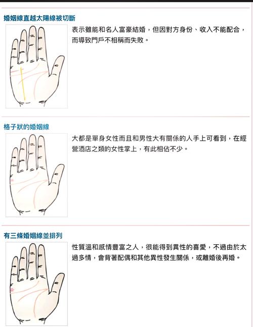 女生婚姻线三条以上，感情线复杂吗？