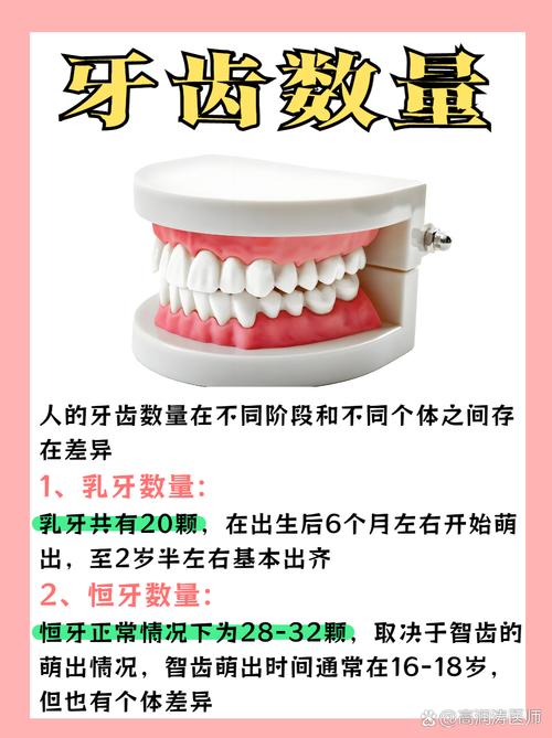 有32颗牙齿的人命运究竟如何？