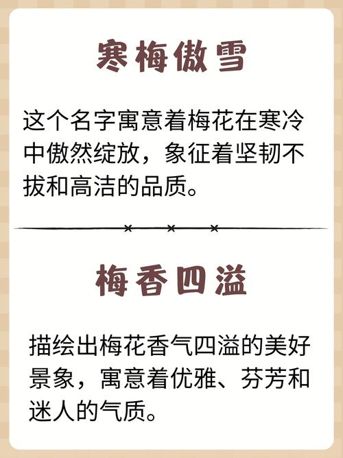 取带梅字的洋气好听寓意好的女孩名字有哪些推荐？