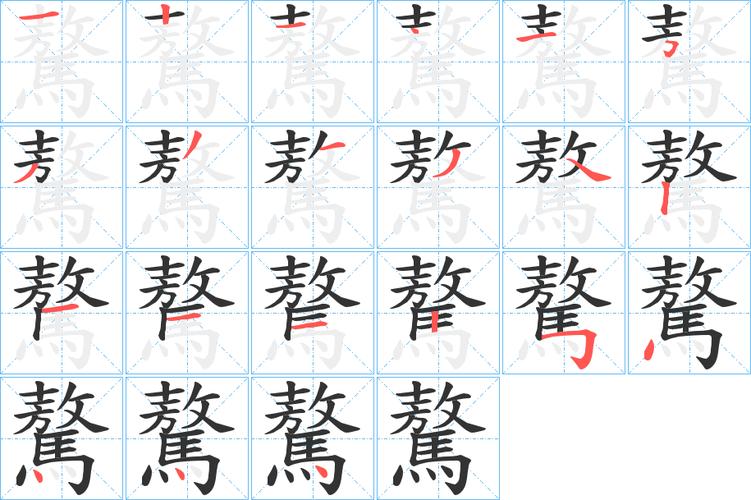 帑字五行属什么？帑字共有多少笔画？