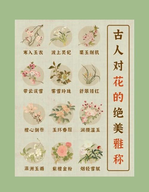 古代花名如牡丹、桂花、海棠等，你知道它们在古诗词中的别称吗？