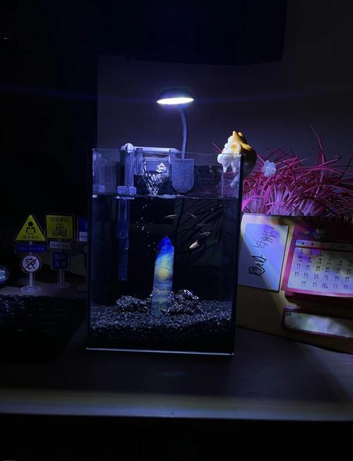 办公室鱼缸风水禁忌有哪些，办公桌摆放鱼缸需要注意哪些讲究？