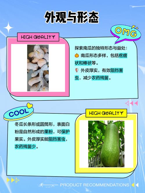 为什么叫冬瓜、南瓜、西瓜，这些名字的由来是什么？