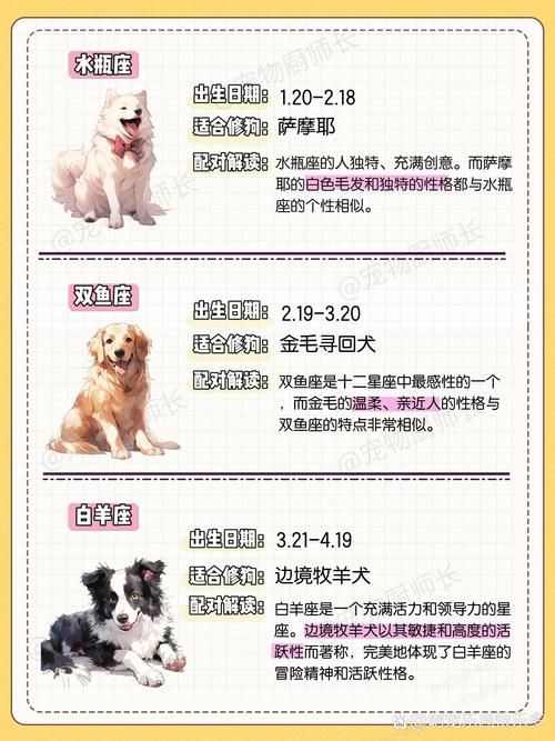 双鱼座和什么星座的人不适合养狗？这样的宠物会让双鱼感到不愉快？