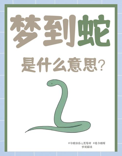 女人梦见蛇追我跑，这究竟是什么预兆呢？