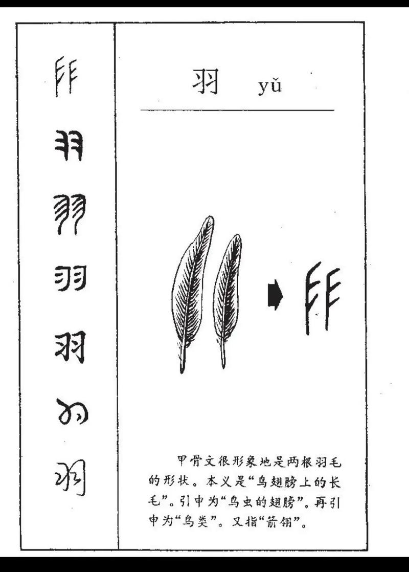 羽字搭配哪些字起名好，适合用作男孩名字呢？
