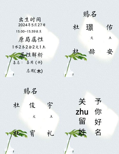 杜思起名取名，有哪些可依参考？