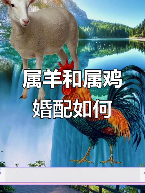 羊肖和鸡肖嫩否组成和谐婚姻，他们的婚配关系如何？