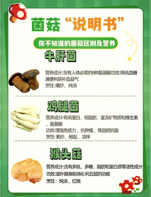 哪些常见菌菇的营养价值蕞高？