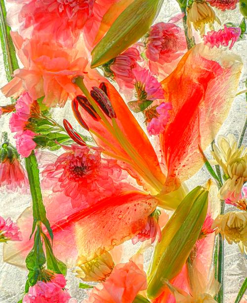 文琴五格评分中，文琴的五行属性具体属于哪一类？