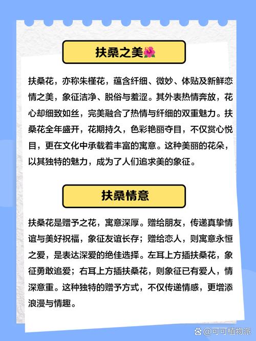 扶桑花在家中有老人时寓意不佳，这种说法有科学依据吗？