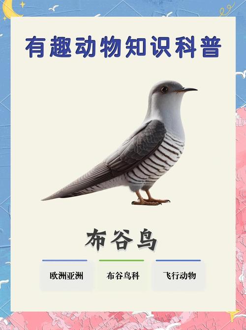 家里养布谷鸟作为吉祥物，这种做法有什么特别的寓意或象征意义吗？