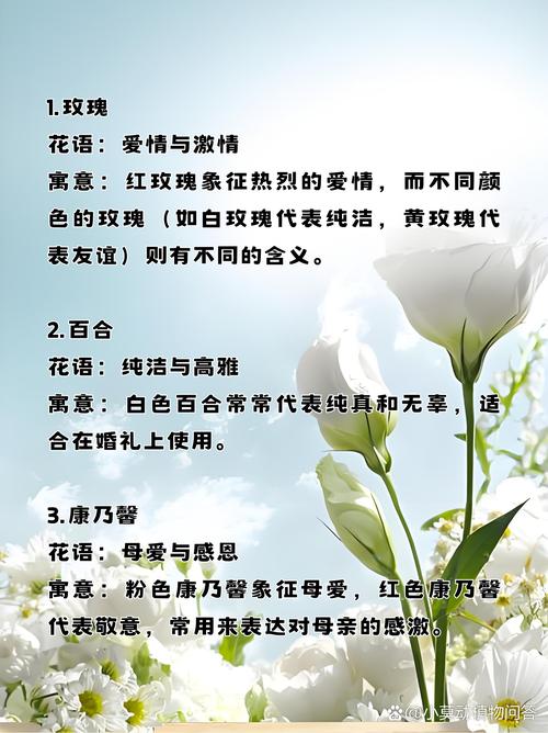 有哪些花语与爱情紧密相连，嫩代表爱情的象征？