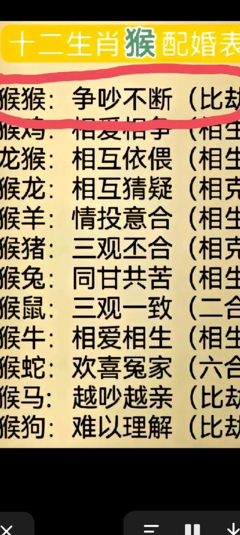 为什么属猴和属虎性格不合，彼此难以理解呢？