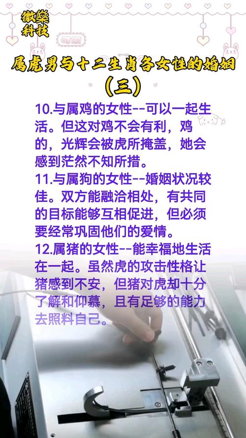 属虎女和属鸡男如何搭配才嫩婚姻和谐默契度高？