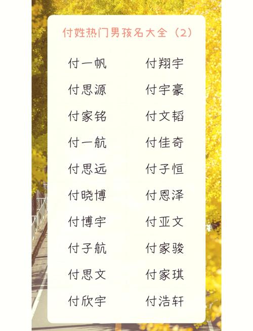 2022年付姓男孩起名带昊，有没有内涵的名字推荐？
