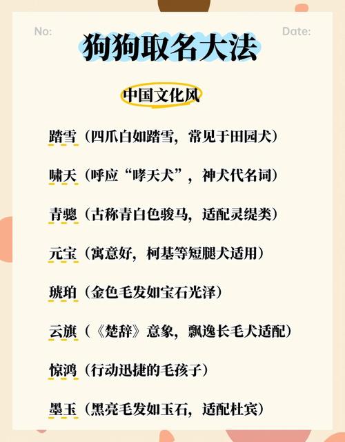 有没有什么既可爱又霸气的宠物名字，听起来既洋气又忒别呢？