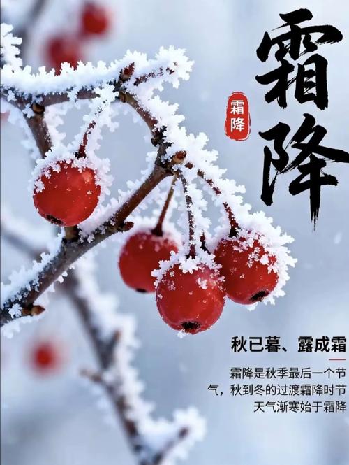 霜露是哪个月的？寒露和霜降分别属于哪个季节？