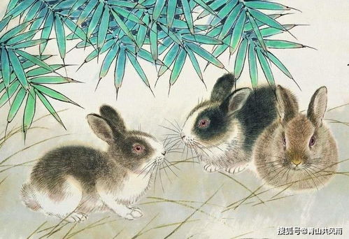 2022年5月6日十二生肖每日运势中，青山共风雨的独家运势如何？