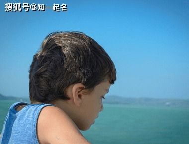 怎样挑选最合适的组合？